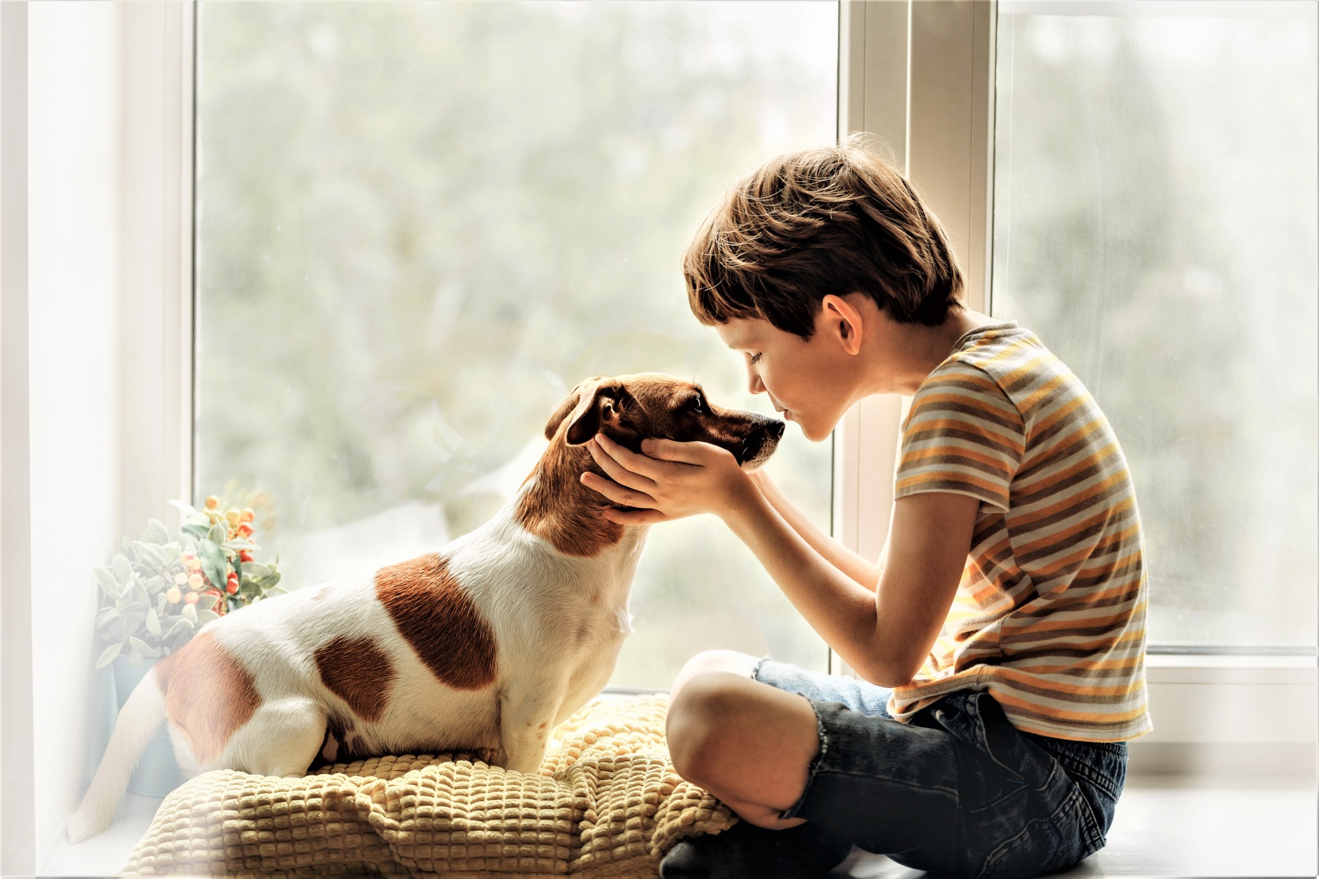 Perdre un animal de compagnie