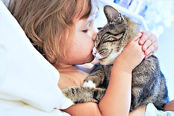 Adopter un animal de compagnie